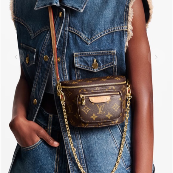 NWT LOUIS VUITTON MINI BUMBAG - Picture 2 of 8